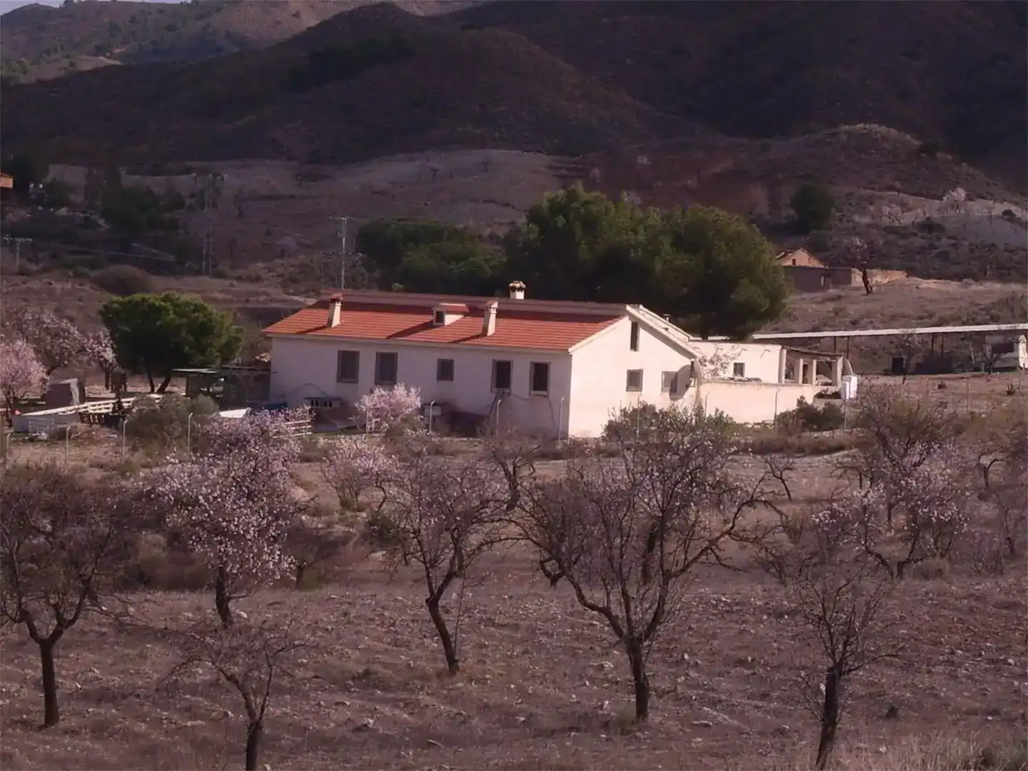 Vista exterior de Finca rústica en venta en Lorca