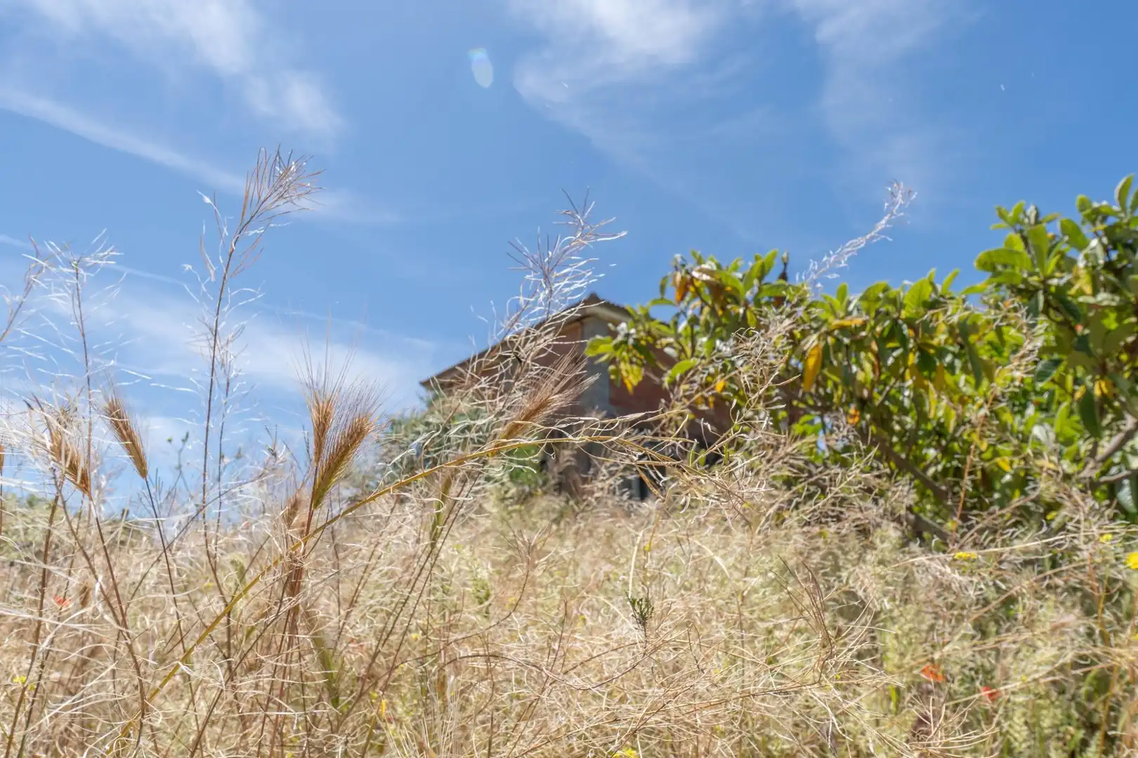 Casa o xalet en venda a Moraleda de Zafayona