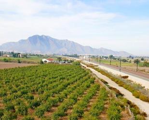 Vista exterior de Finca rústica en venda en Callosa de Segura