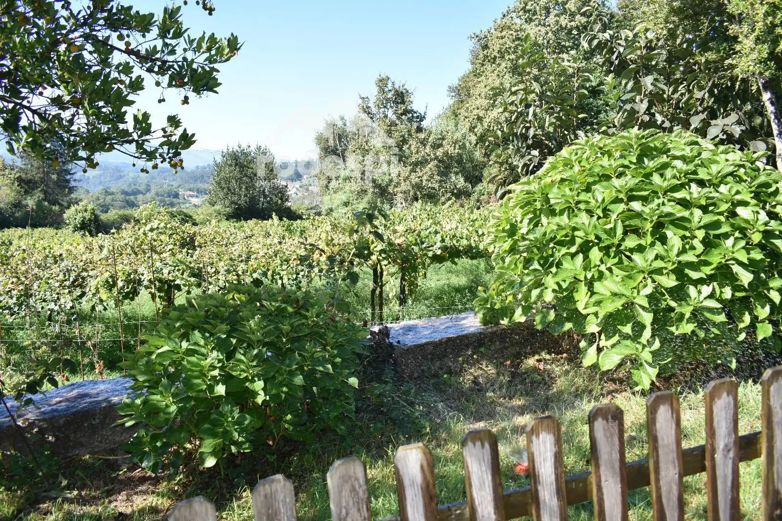 Villa mit Pool zum Verkauf in Crecente, imagen 55