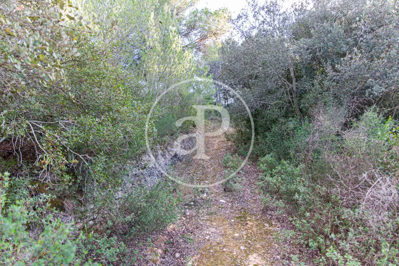 Residencial en venta en Santa Margalida