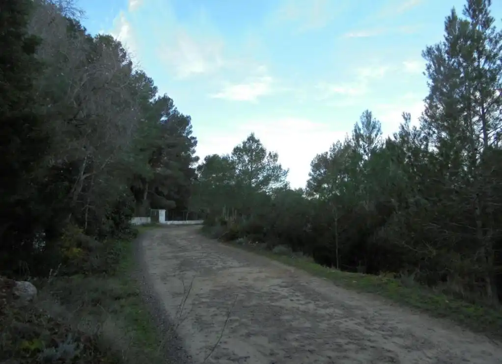 Terreny residencial en venda a Pujada De Bixquert, imagen 11