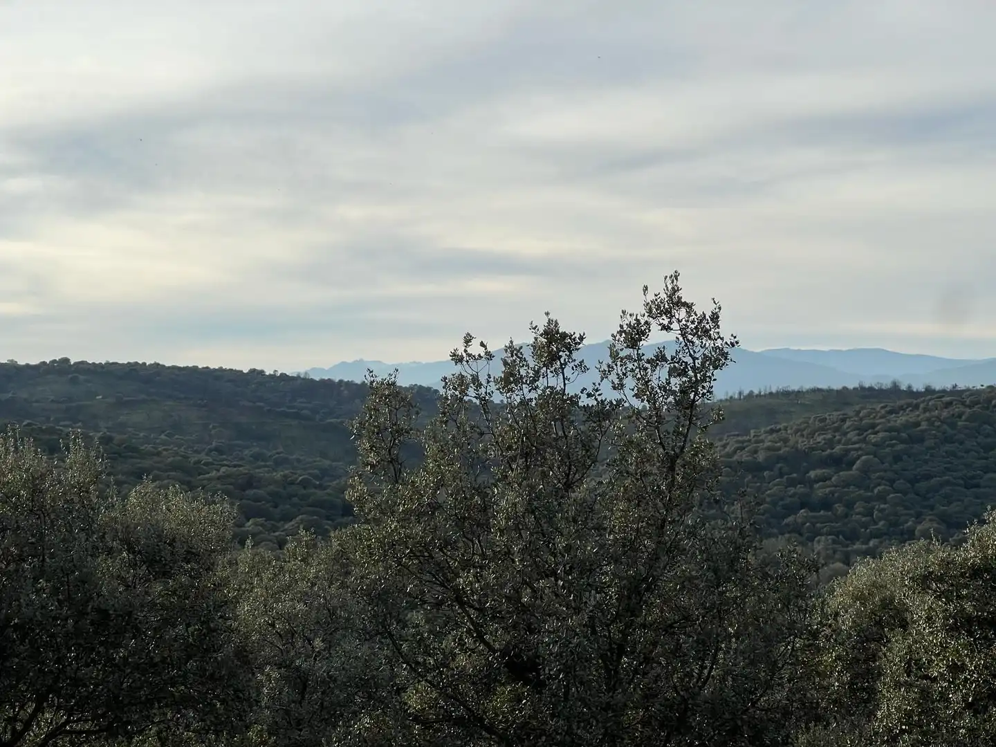 Terreno en venta en Almendral de la Cañada, Toledo