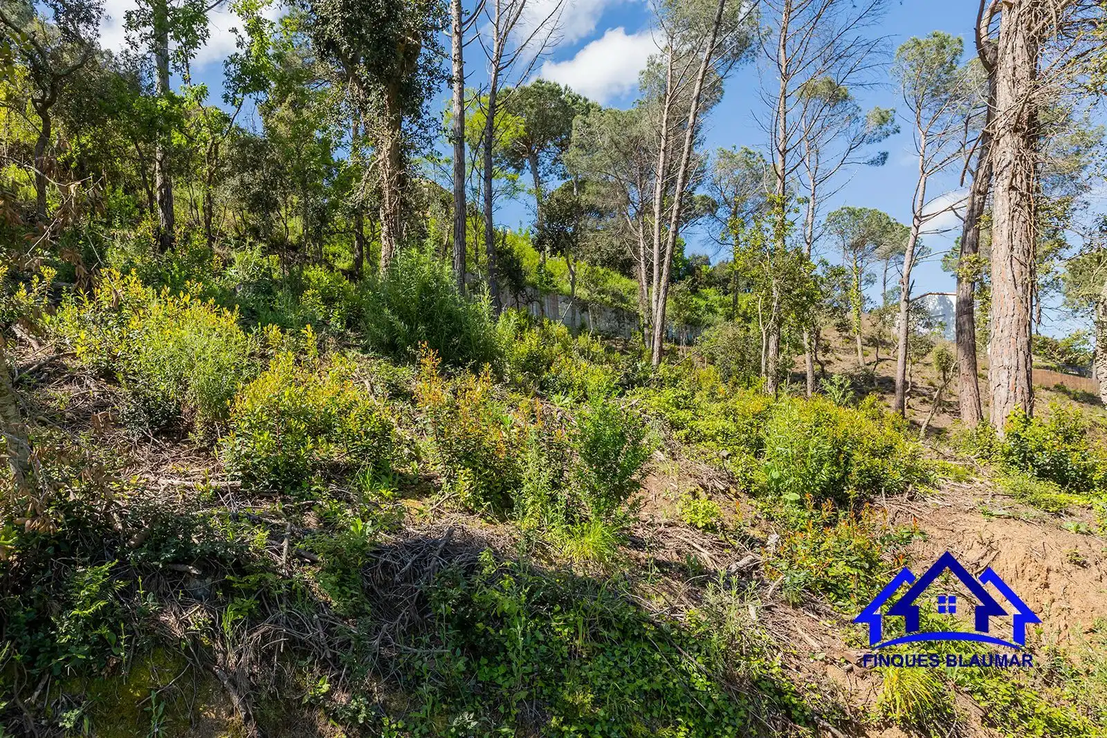 Lands and plots for sale in Vallgorguina, imagen 10
