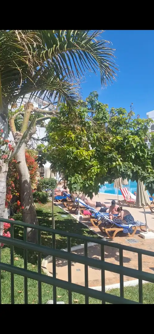 Studio mit Pool zum Verkauf in Calle Valencia 3, imagen 4
