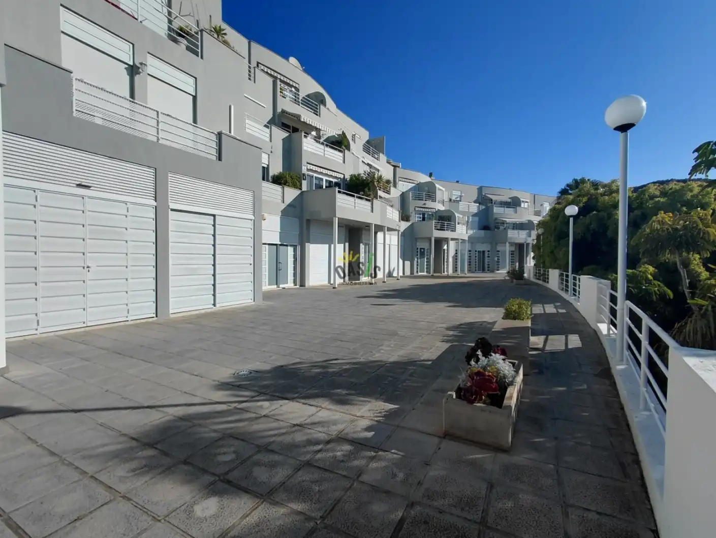 Flat for rent in Ifara - Las Mimosas