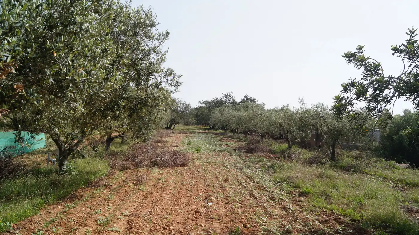 Terreno en venta en Torredembarra