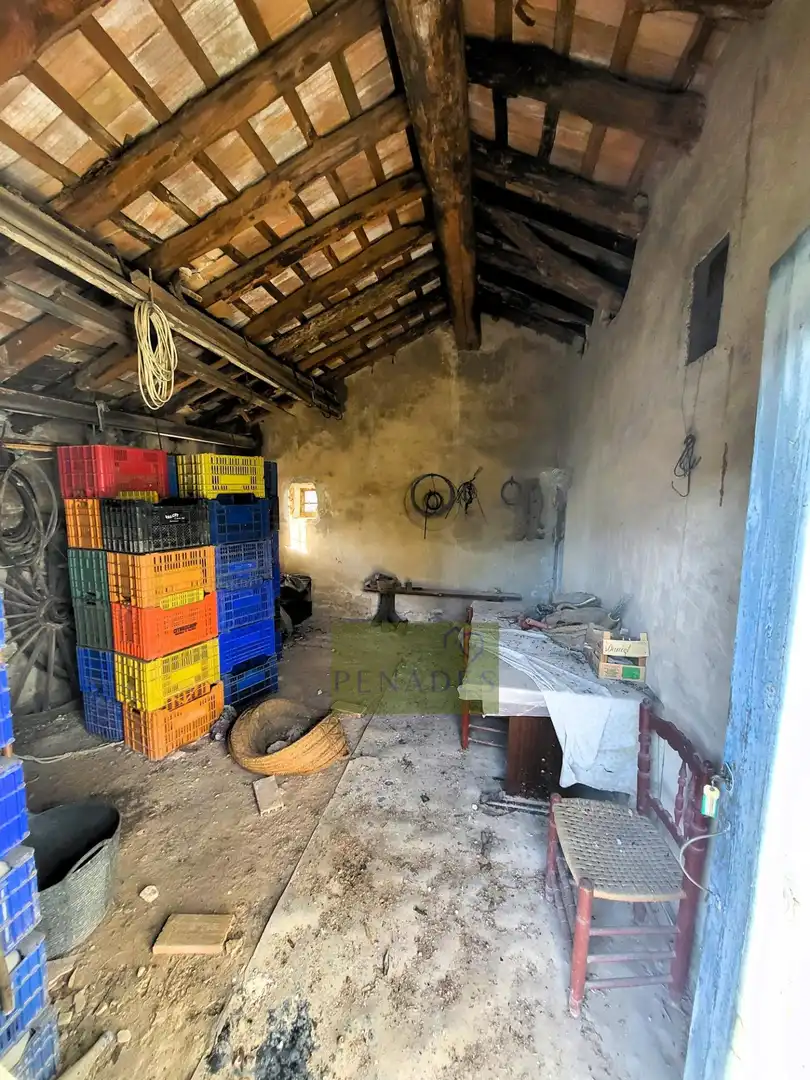 Terrain rustique à vendre à Centro, imagen 7