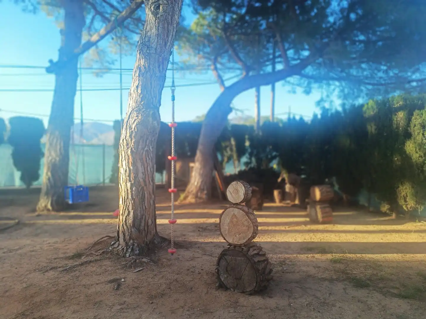 Jardí de Casa o xalet en venda en Benicasim / Benicàssim amb Calefacció, Terrassa i Traster