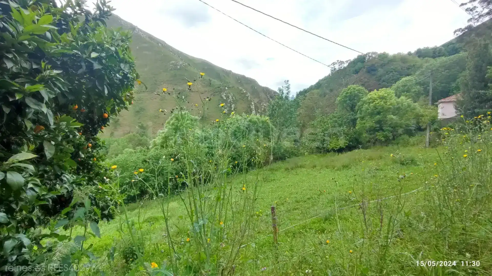 Casa o xalet en venda en Grado amb Jardí privat