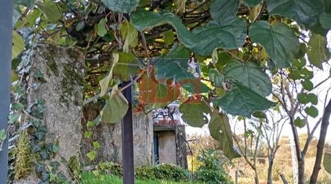 Foto 3 de Casa o xalet en venda a Lobeira, Ourense