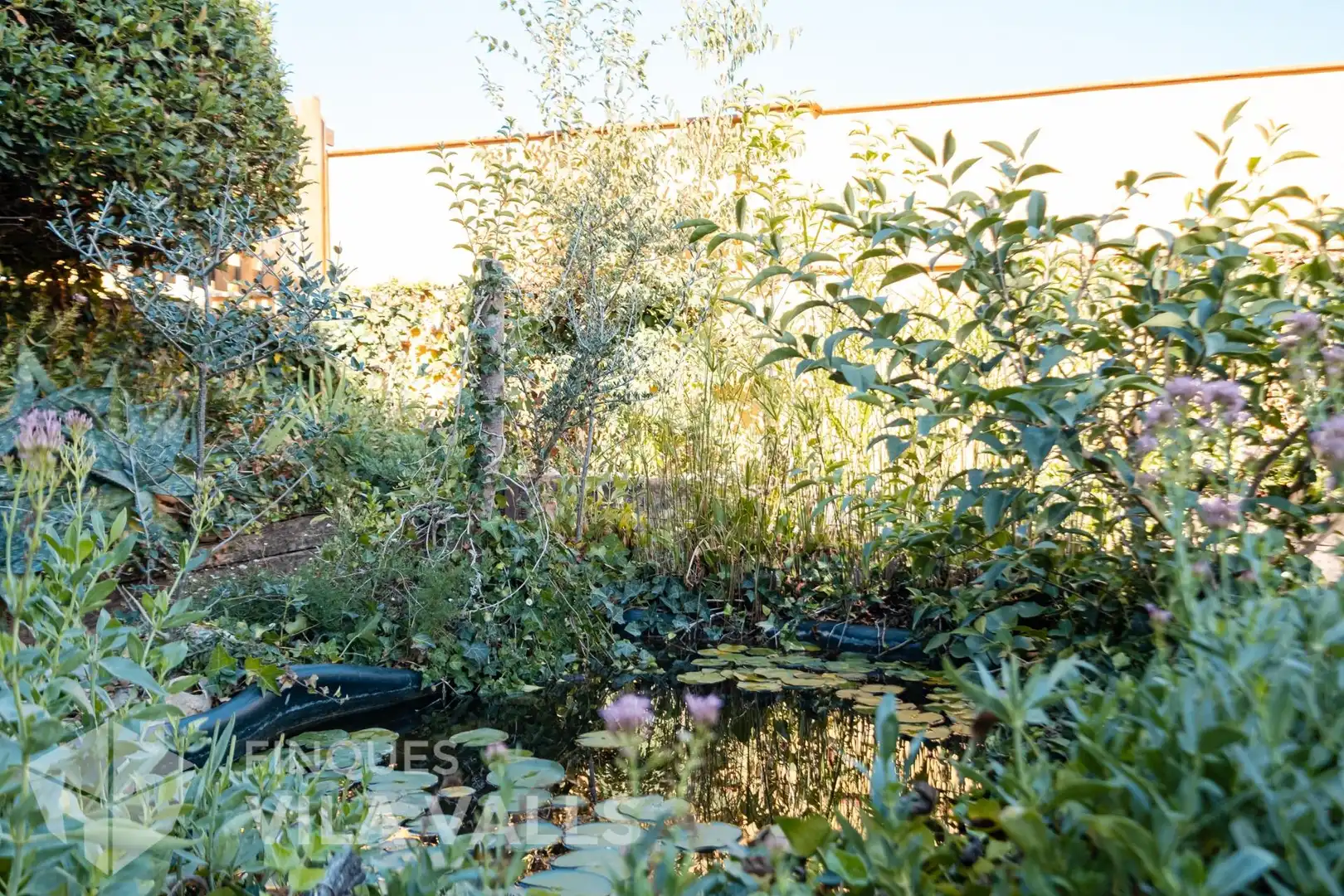 Villa con piscina in vendita a c del pardal, imagen 60