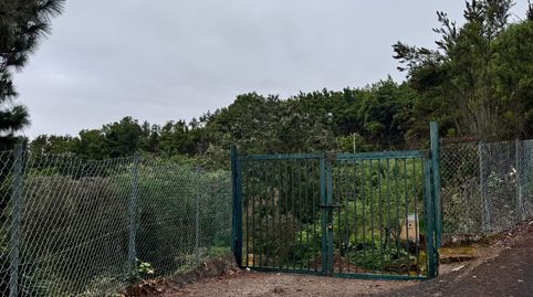 Foto 2 de Finca rústica en venta en Palo Blanco, Los Realejos