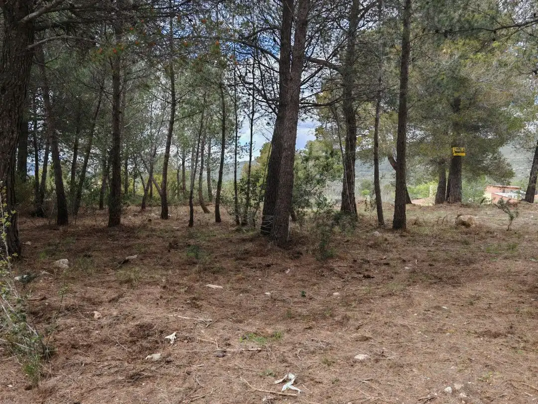 Terreny residencial en venda a Carrer Girona 188, imagen 14