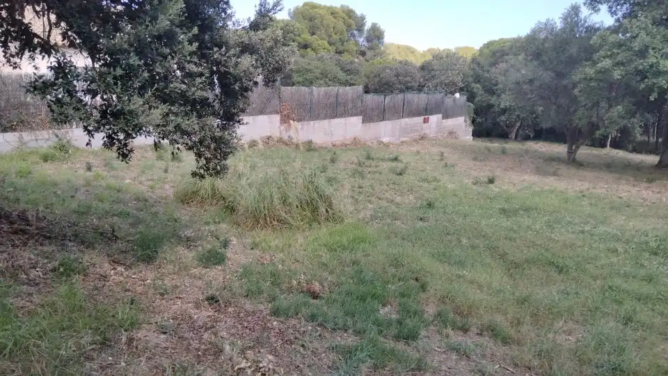Terrenys i solars en venda a Puig Ses Forques - Torre Colomina, imagen 3