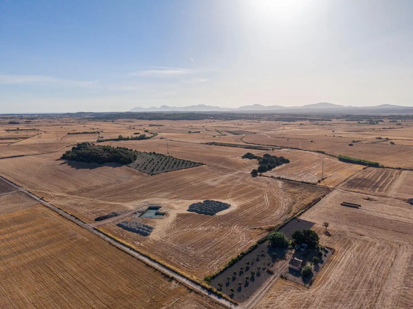 Terreny rústic en venda a Polígono parcela 207 2, imagen 6