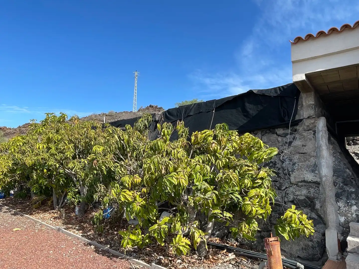 Exterior view of Country homes for sale in Guía de Isora  with Heating, Private garden and Storage room