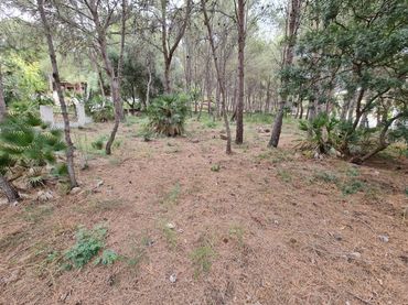 Terreno residenziale in vendita a Calle AMPLE