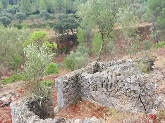 Maison à vendre à Benifallet, imagen 46