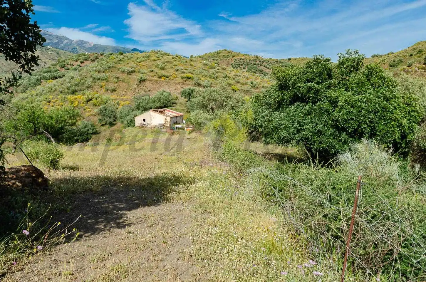 Terreno rústico en venta en Sedella, imagen 12