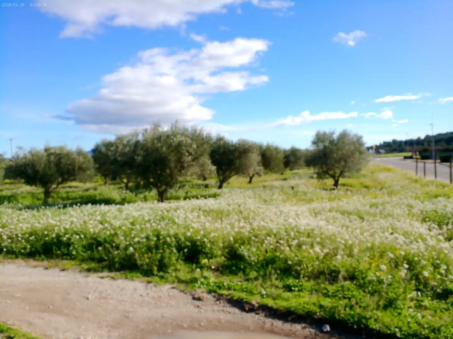 Jardín de Residencial en venta en Masarac i Vilarnadal