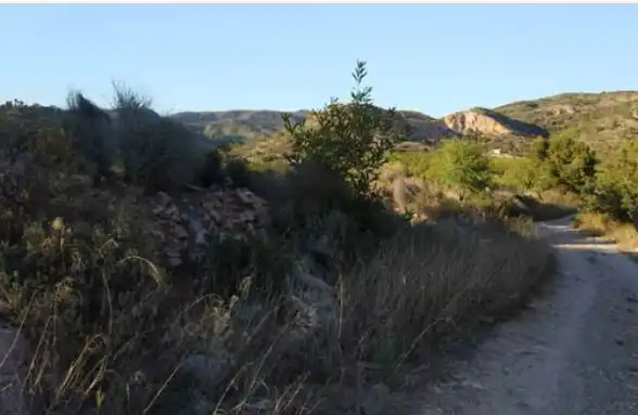 Rural land for sale in Camí l'Abeller 148, imagen 5