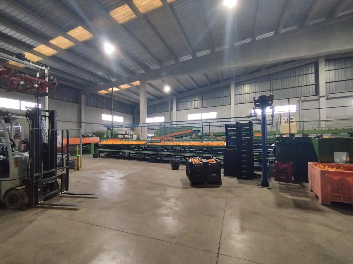 Nau industrial en venda a Massamagrell