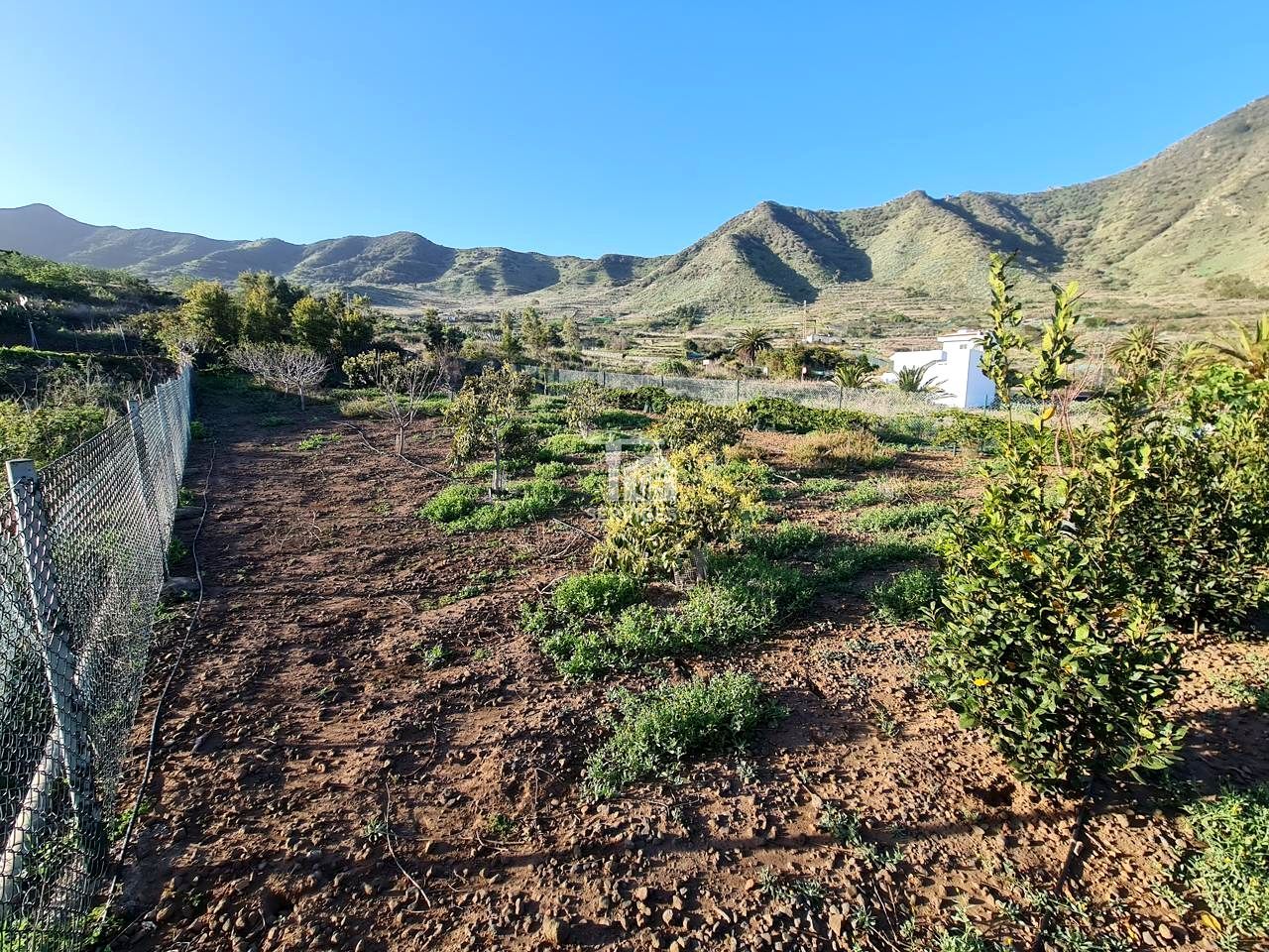 Residencial en venda en Buenavista del Norte
