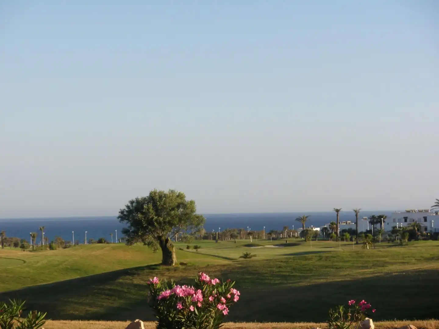 Jardín de Piso en venta en Almería con Trastero, Amueblado y Piscina comunitaria