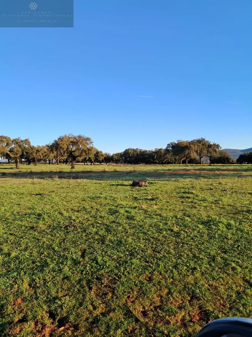 Exterior view of Country homes for sale in Mérida