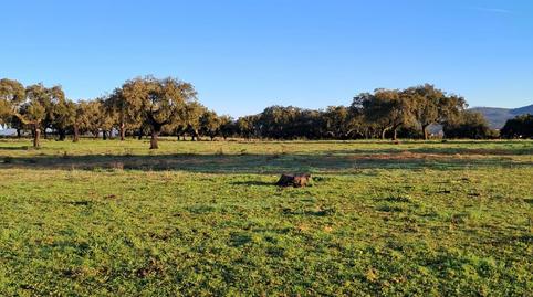 Foto 5 de Finca rústica en venda a Norte, Badajoz