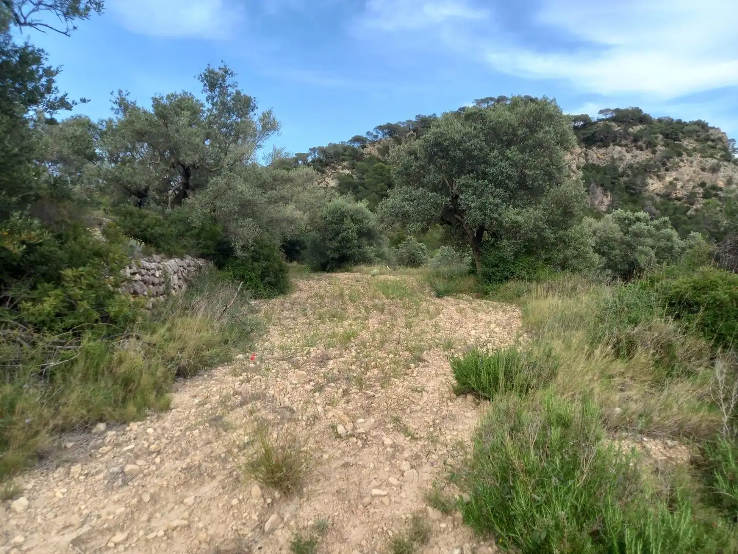 Rural land for sale in El Pinell de Brai, imagen 8