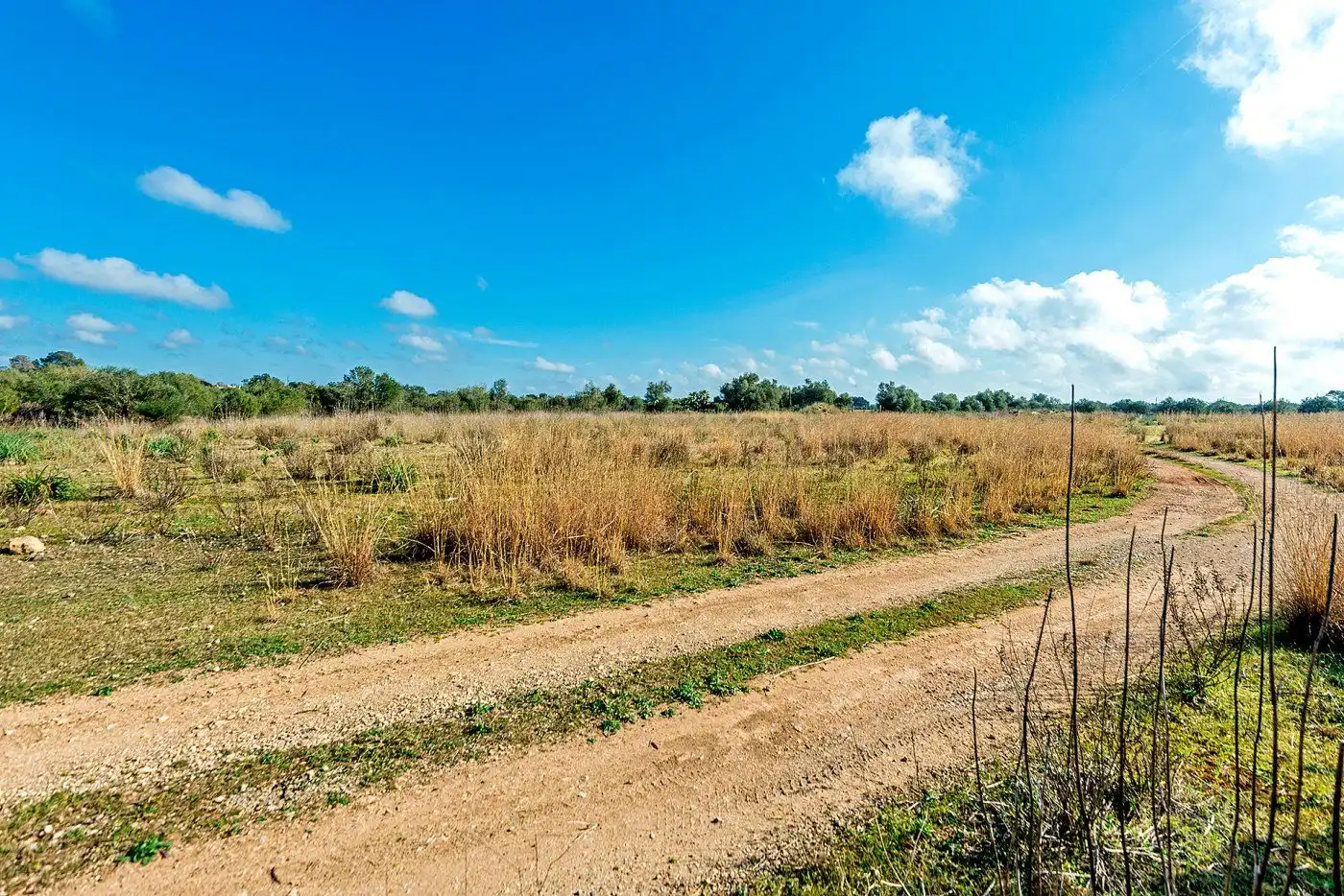 Country homes for sale in Inca