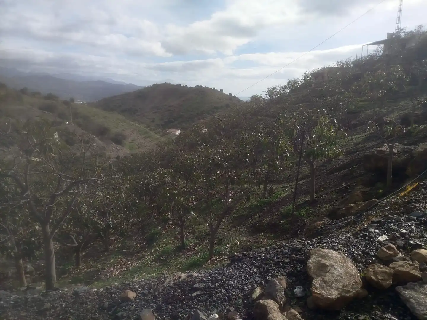 Finca rústica en venda en Vélez-Málaga amb Jardí privat, Traster i Moblat