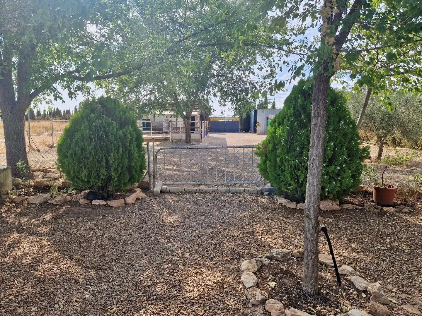 Casa o chalet en venta en Pozuelo de Calatrava con Piscina y Amueblado