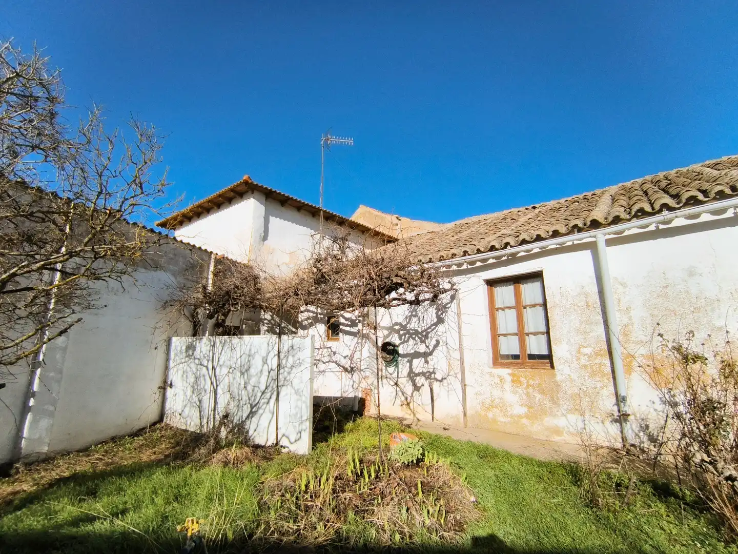 Vista exterior de Casa o chalet en venta en Villamartín de Campos con Calefacción, Jardín privado y Trastero