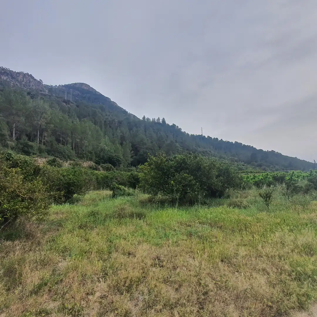 Terreno rústico en venta en Benifallet, imagen 8