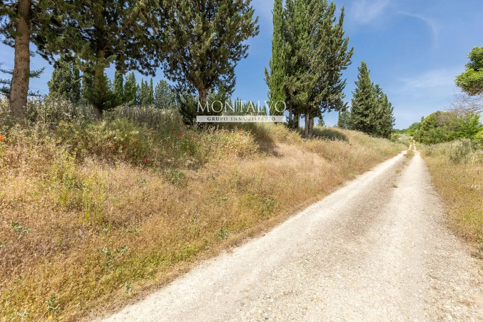 Land for sale in Pinos Puente