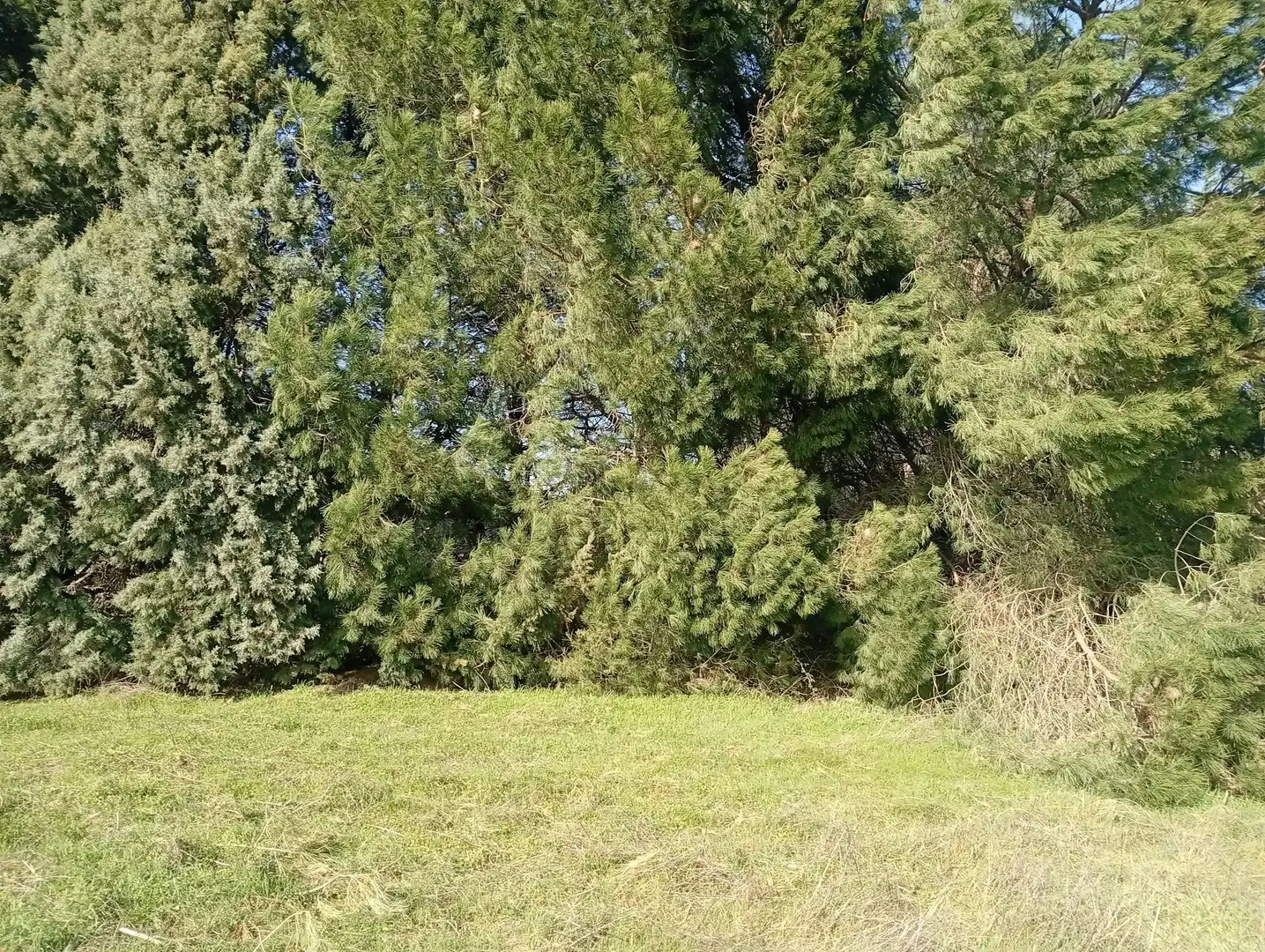 Terreni e lotti in vendita a Villanueva de la Vera, imagen 14