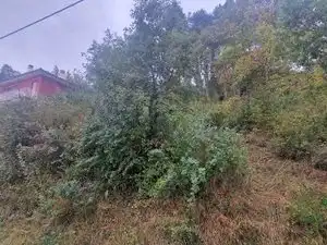 Residential land for sale in Carrer de Collsuspina 506, imagen 7