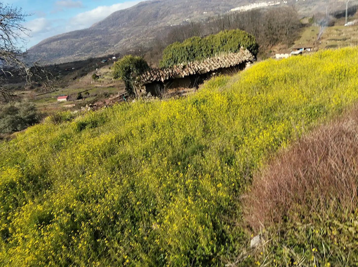 Land for sale in Casas del Castañar