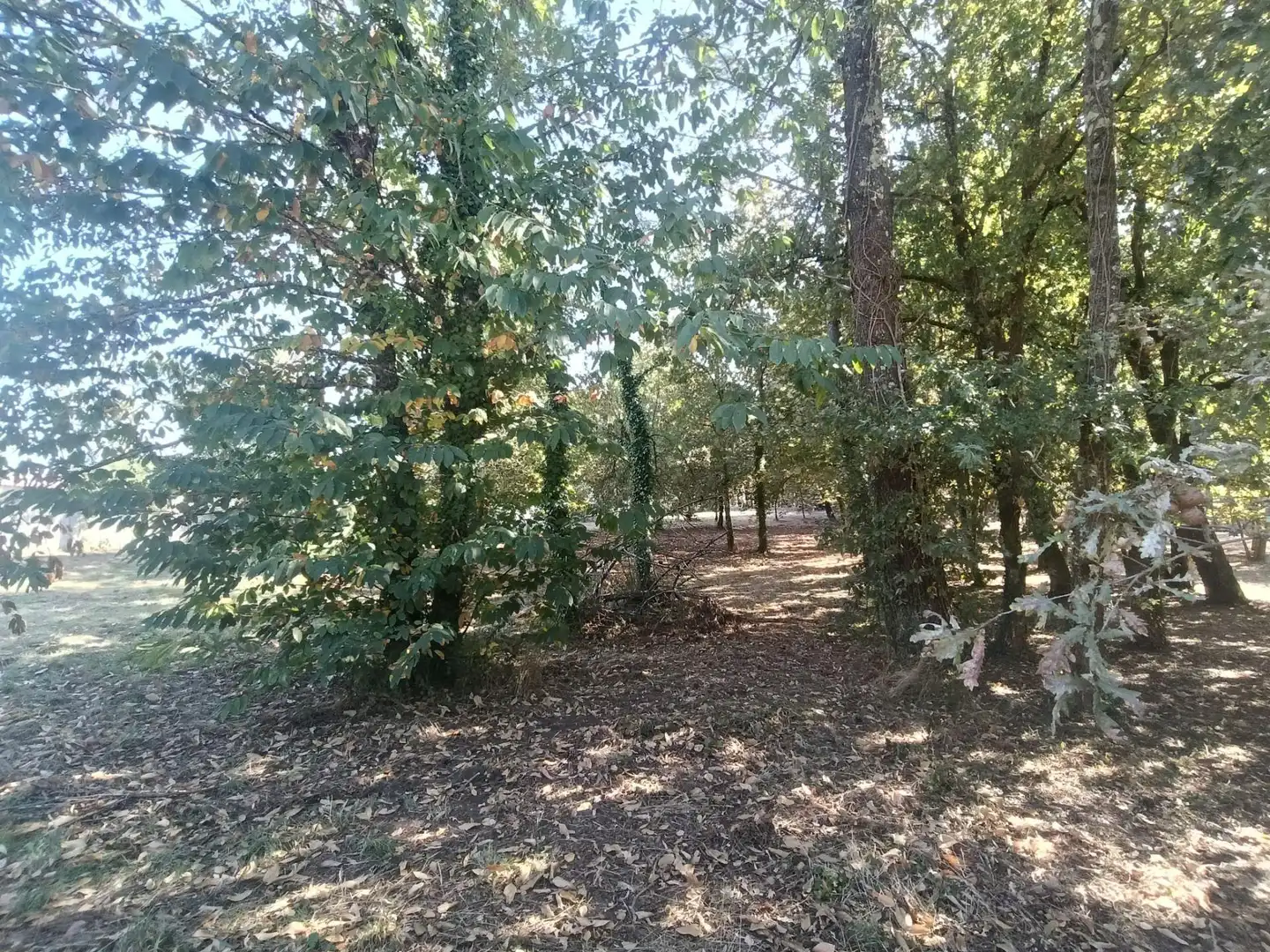 Terreno residencial en venta en Lugar As veigas, imagen 13