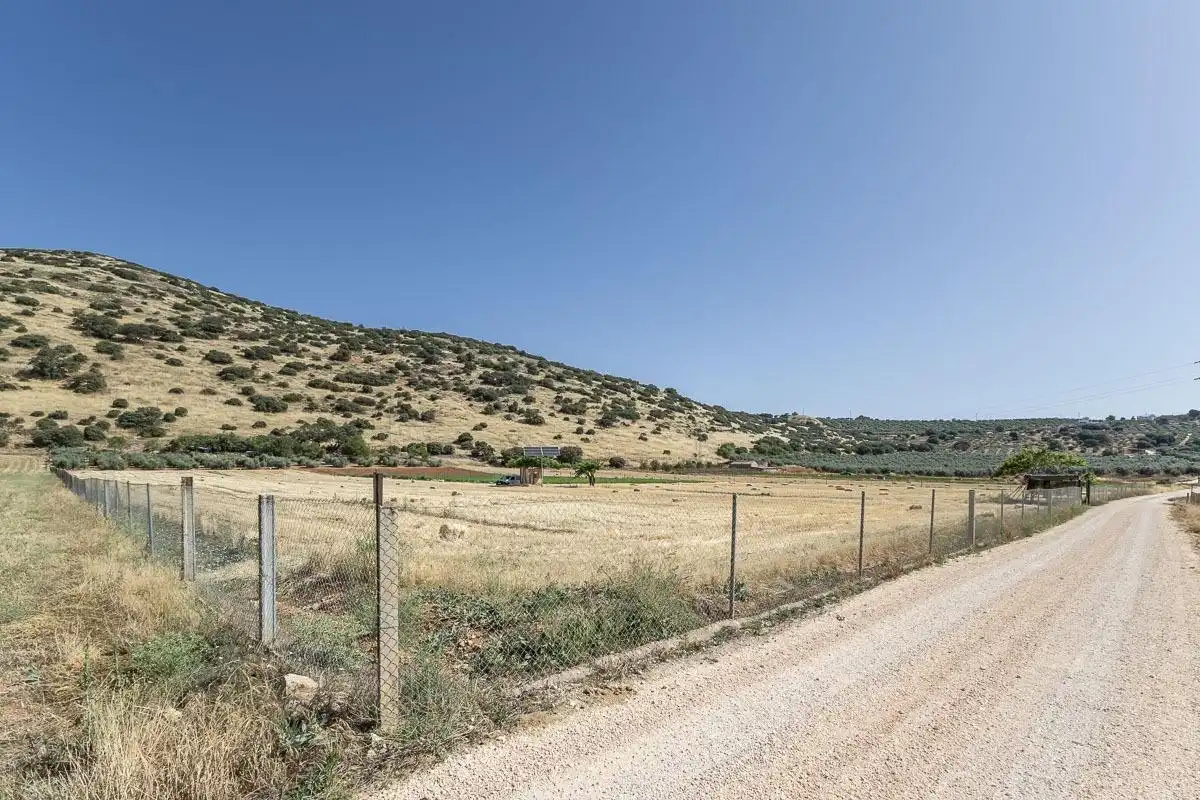 Land for sale in Montefrío