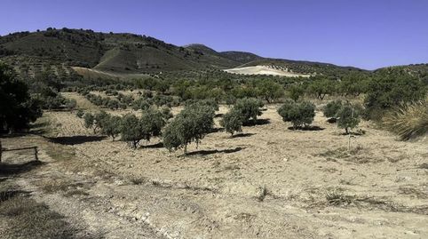 FINCA DE SECANO EN PADUL CON 5680 M2, immagine 5