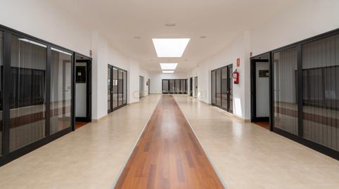 Foto 4 de Oficina de lloguer a Calle de Benito Pérez Galdós, 38611 San Isidro, Sp, Sn, San Isidro, Santa Cruz de Tenerife