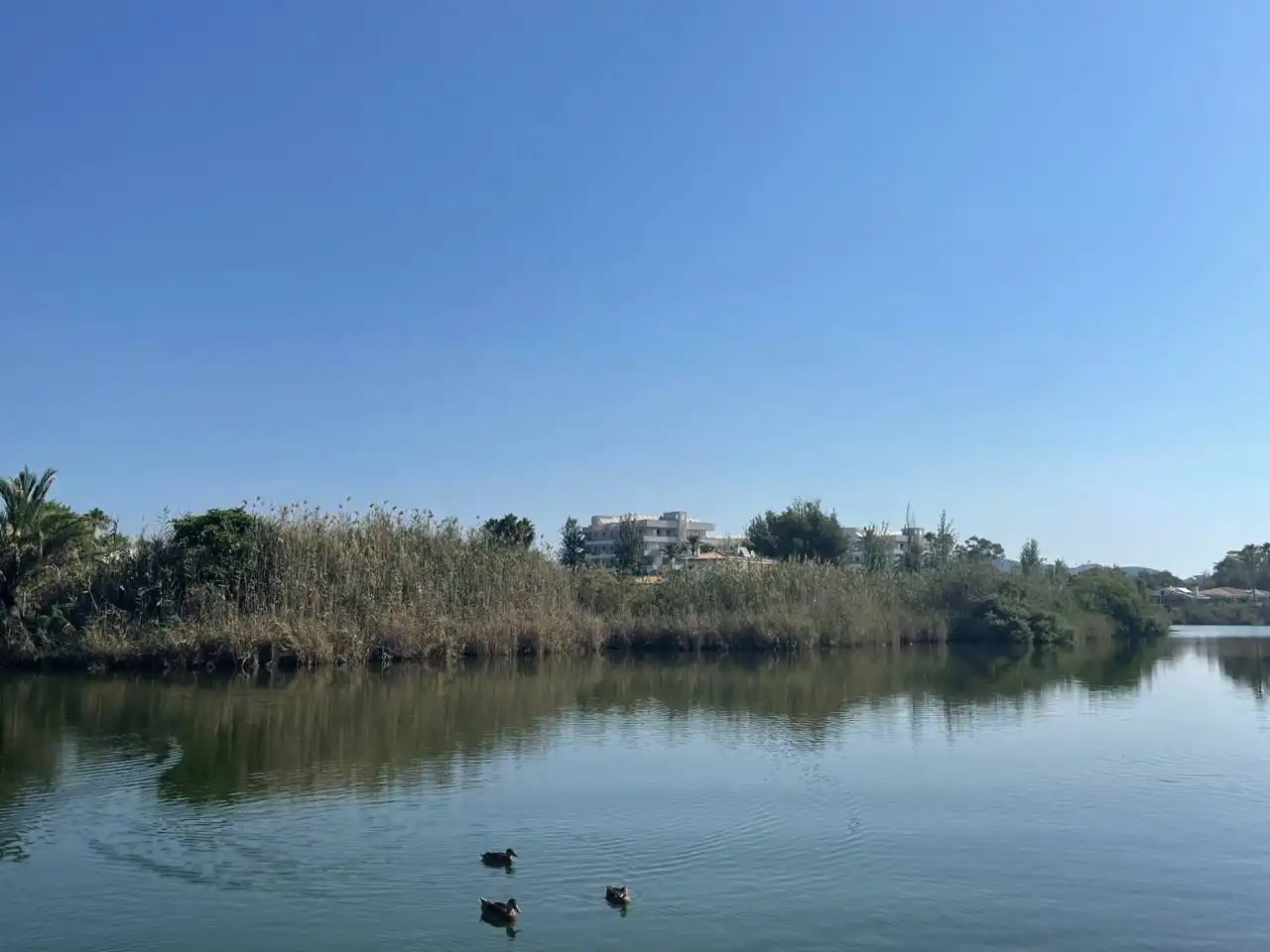 Terreny residencial en venda a Port d'Alcúdia - Platja d'Alcúdia, imagen 6