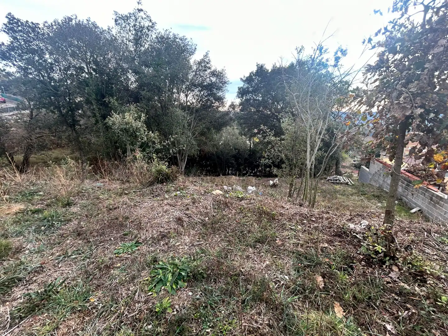 Terrain rustique à vendre à Dosrius - CL CAN DOMINGO, imagen 23