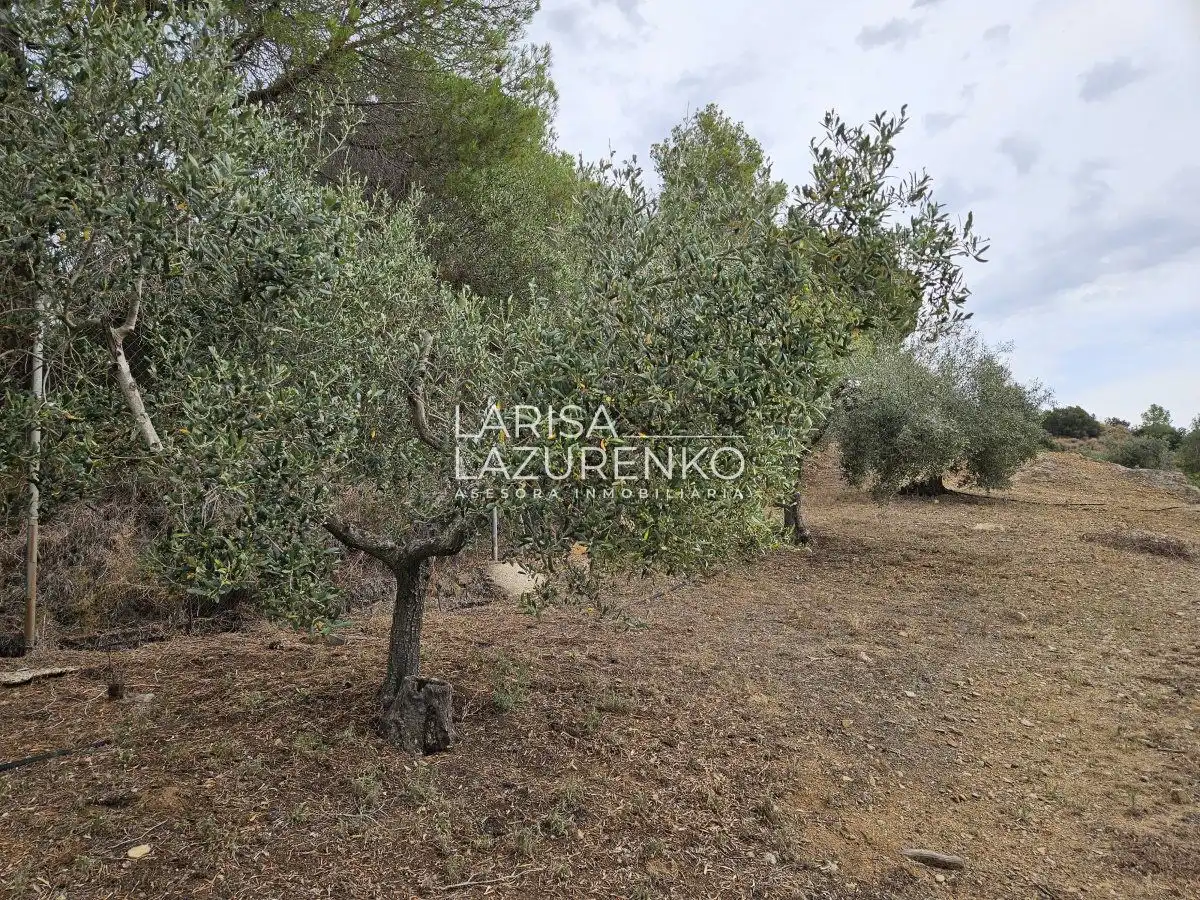 Casa o chalet en venta en Riudecanyes con Aire acondicionado, Calefacción y Trastero