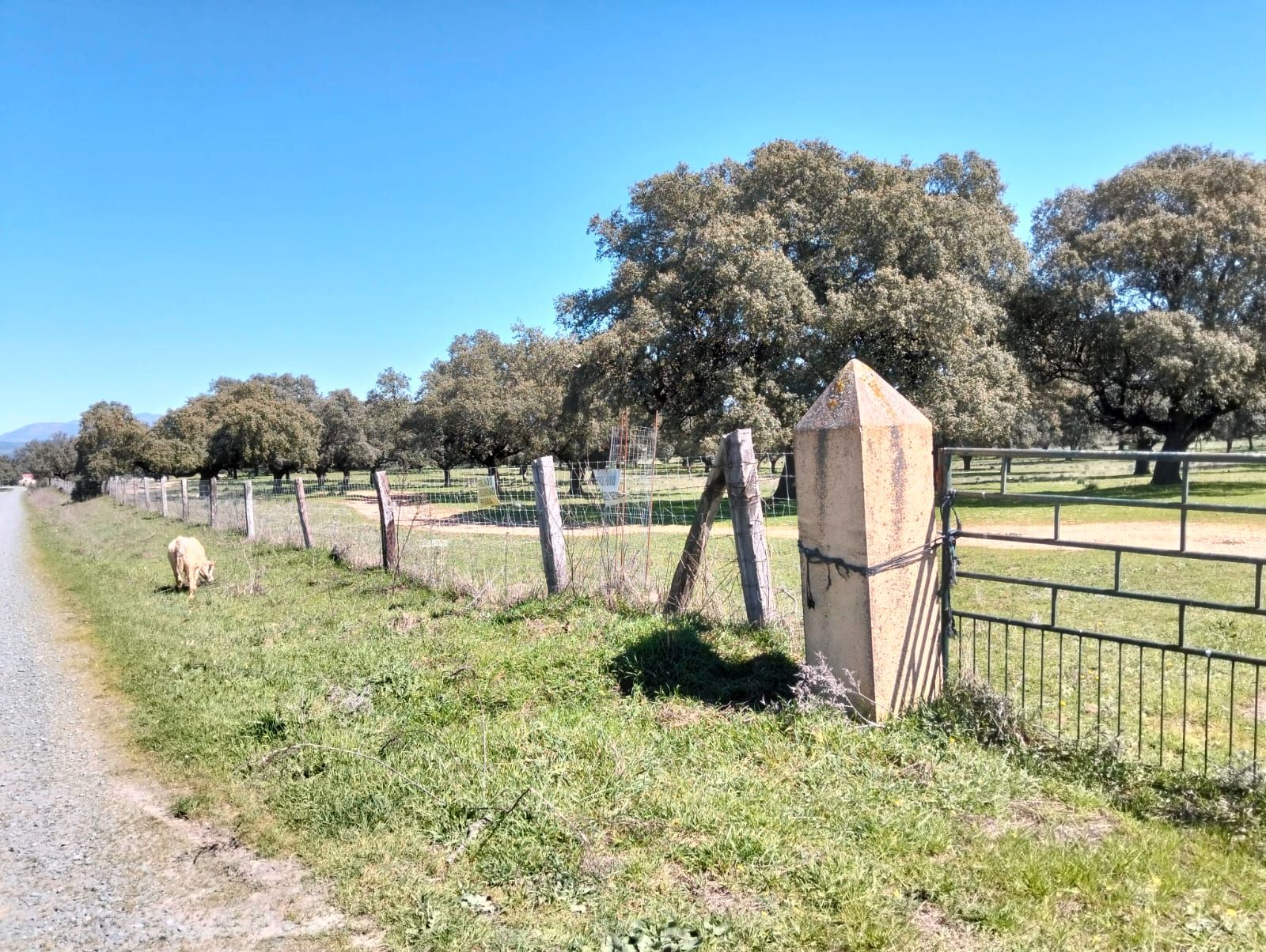 Terreno en venta en Plasencia