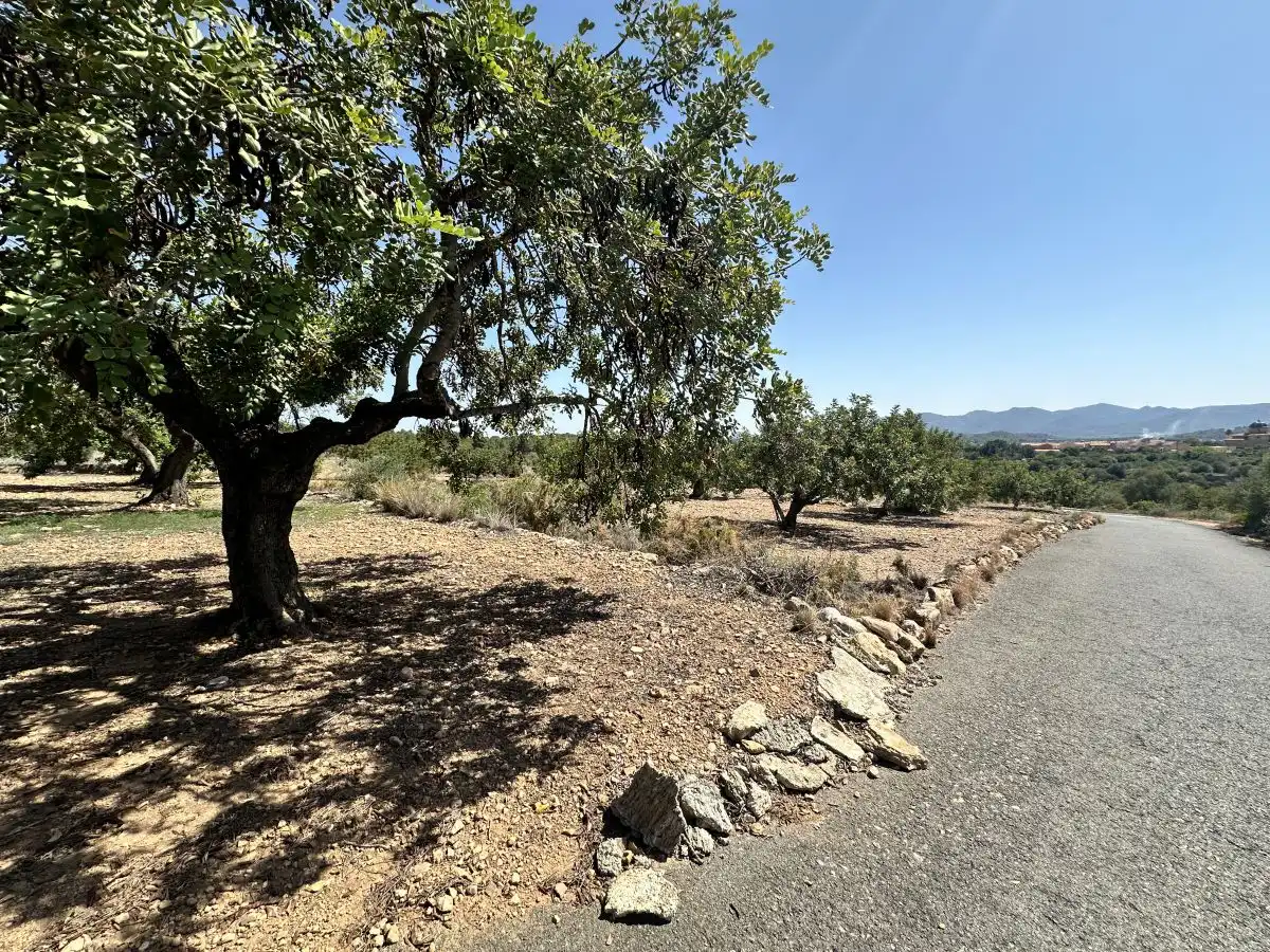 Terreno residencial en venta en Alfara de la Baronia, imagen 14